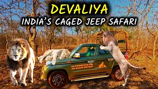 Devaliya Safari Park | India