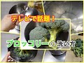 ブロッコリーの洗い方！虫や汚れを取り除く！まるごと・切ってから洗う方法