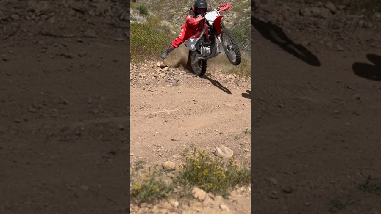 RAPTOR 700 HONDA 230