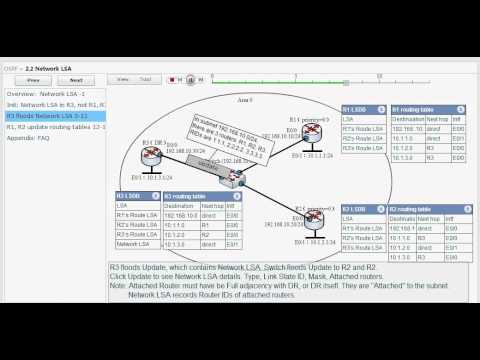 Network LSA - OSPF Simulation. Aniimatee DR floods Type 2 LSA (2.2)