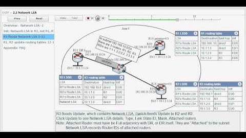Network LSA - OSPF Simulation. Aniimatee DR floods Type 2 LSA (2.2)