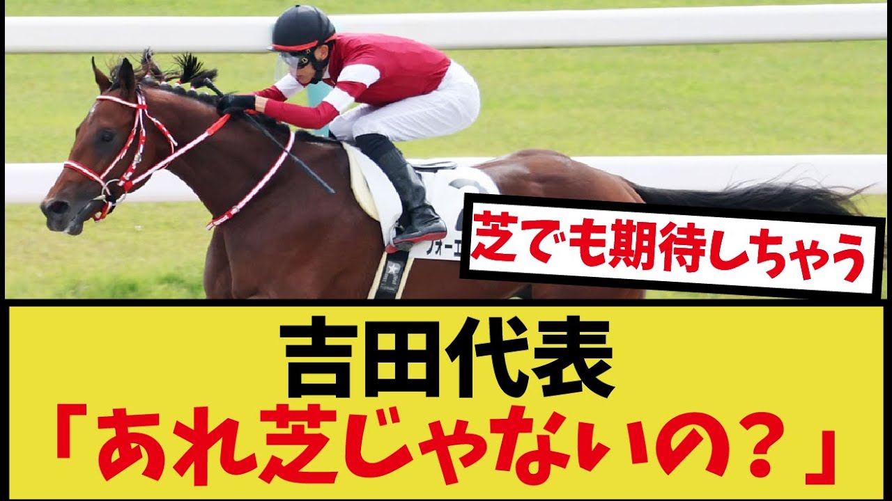「吉田代表、エバヤンは芝馬だと思った」に対するみんなの反応集