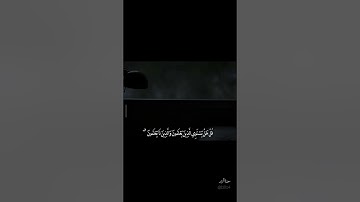 تلاوه هادئه للقارئ خالد الرباعي سوره الزمر( ٩-١٠)