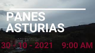 Panes 2021