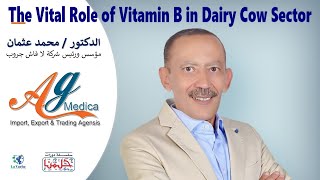 The vital role of vitamin B in dairy cow sector   Part 5