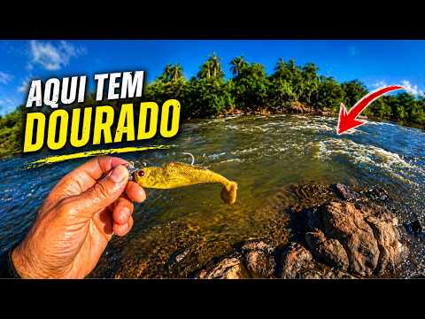 I went fishing for golden dorado using artificial bait and this happened during the fishing trip.