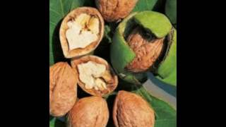 Nut tree