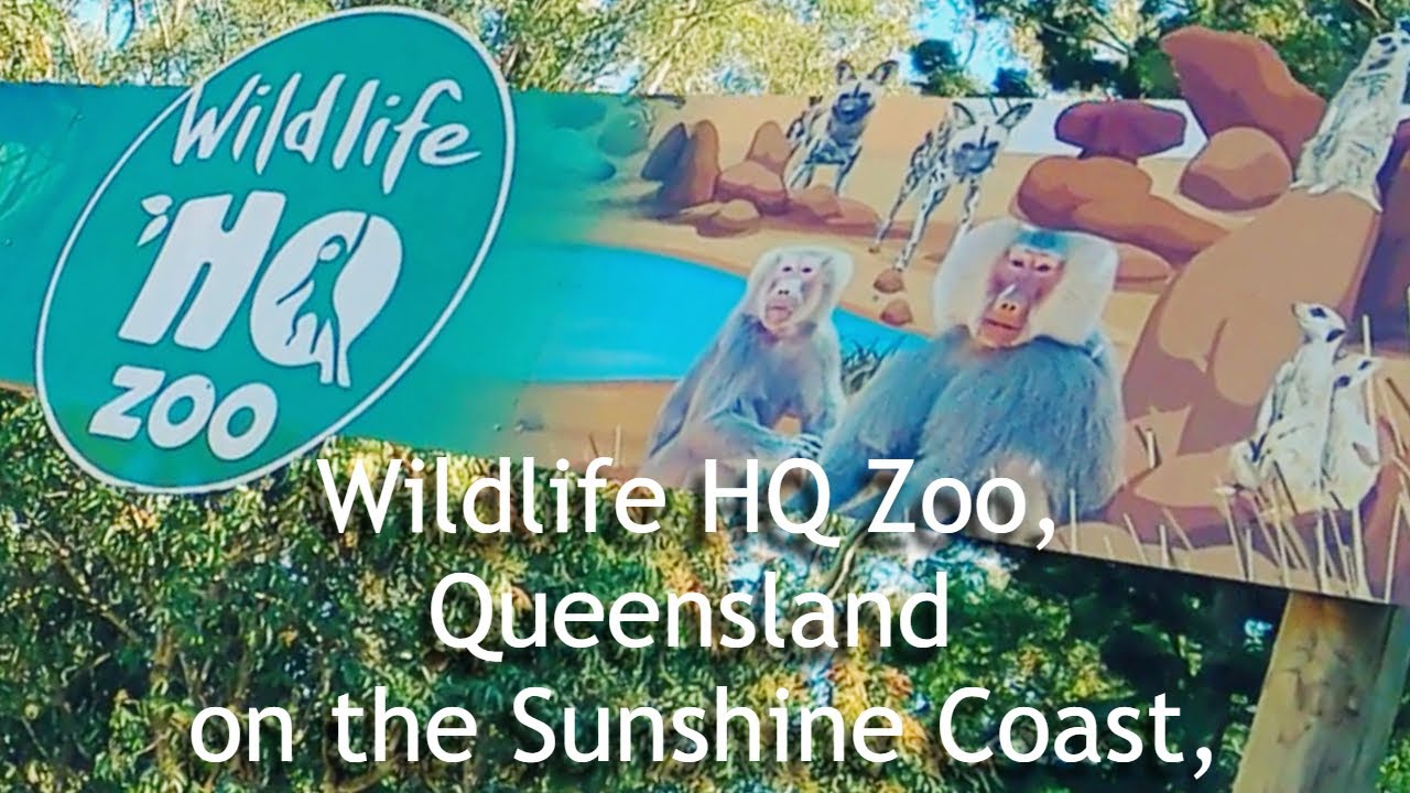 Let's go to Wildlife HQ Zoo 호주 선샤인 코스트 동물원 サンシャインコーストの動物園