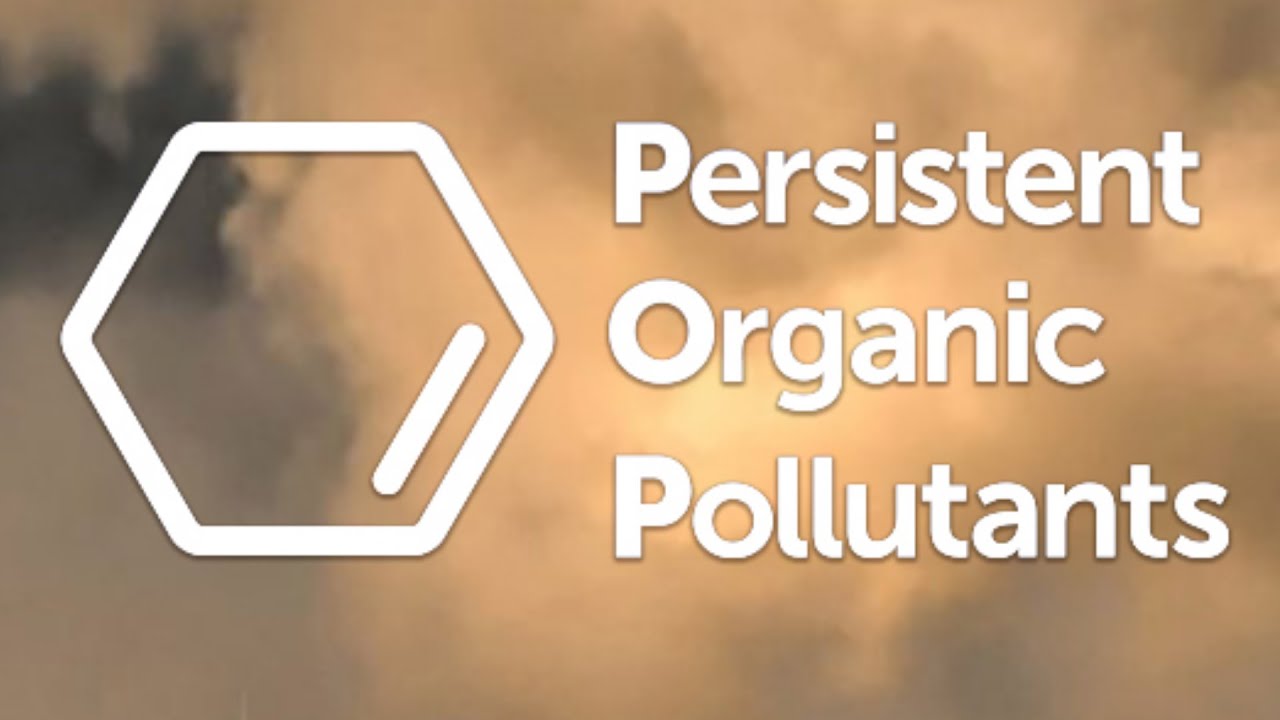 Persistent Organic Pollutants | Dirty Dozen Chemicals | Stockholm Convention on POPs