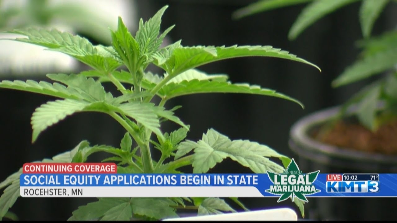 Social Equity application available in Minnesota for cannabis sale licensing