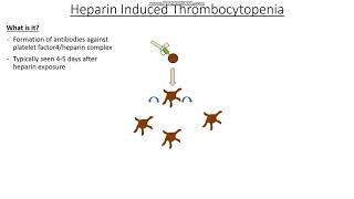 Clotting disorders Part 2 - Platelet Disorders, ITP and Heparin Induced Thrombocytopenia