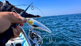 MUCHOS PECES ALIMENTÁNDOSE en la SUPERFICIE || PESCA de PARGO y JURELES.