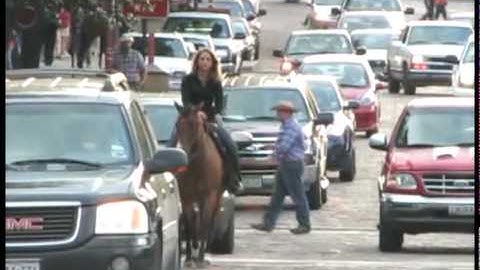 Valley View Ranch - Miss Cutie Boon -      ***For info, price, etc., go to our website***