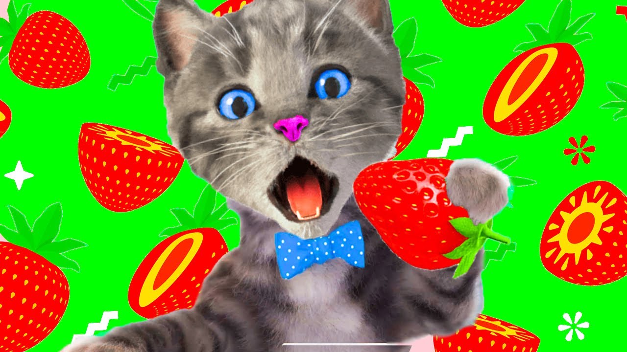 Kitten Adventure! 🐾 Save your friends and find your way to the