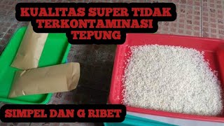 CARA PANEN KROTO BUDIDAYA DENGAN MUDAH//BERSIH TANPA TERKONTIMINASI OLEH TEPUNG #semutrangrang