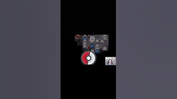 The Creepiest Trainer Sprite EVER!