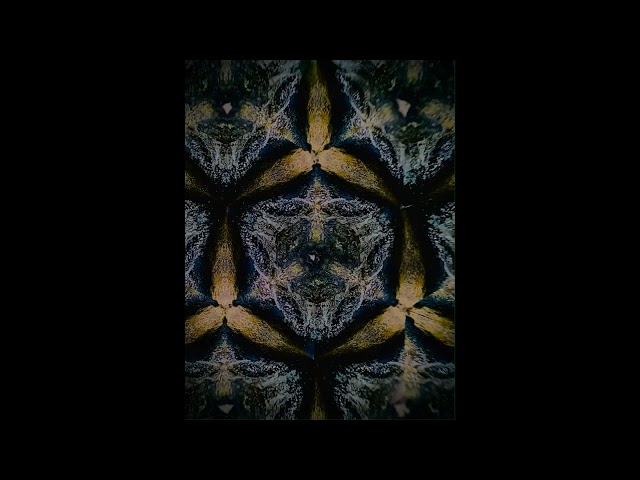 David Levy: First Winter Rain