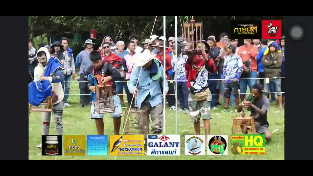 (ไฮไลท์ยกชิง