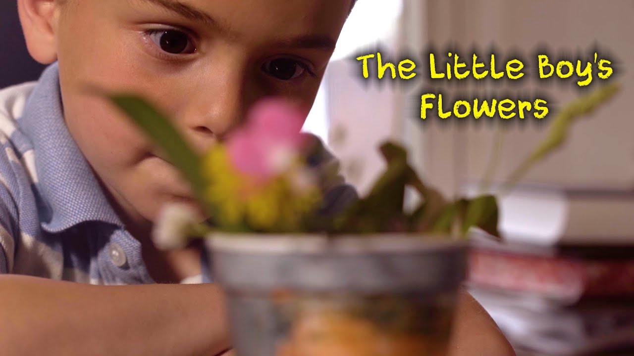 The Little Boy's Flowers A Story of the Beis Hamikdash YouTube