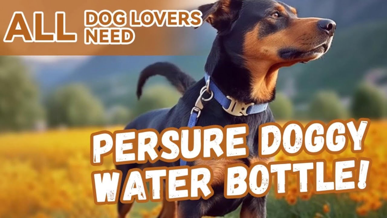 🚀 This Dog Water Bottle Made Hydrating My Pup SO MUCH EASIER! 🐶💦