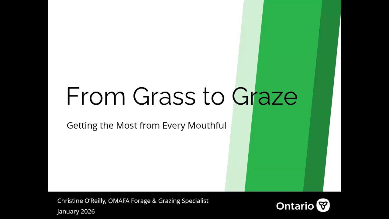 Grass to Graze - YouTube