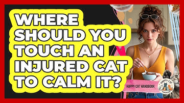 Where Should You Touch An Injured Cat To Calm It? - Happy Cat Handbook