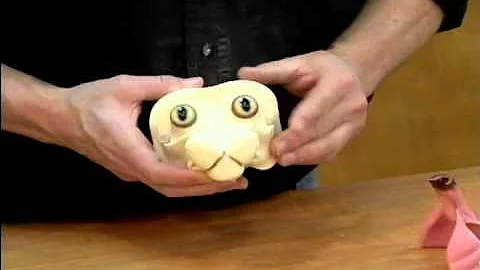 Setting Eyes on a Bobcat using Easy-Set Face System