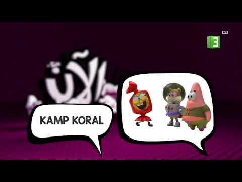 Bumper Kamp Koral (MBC 3)