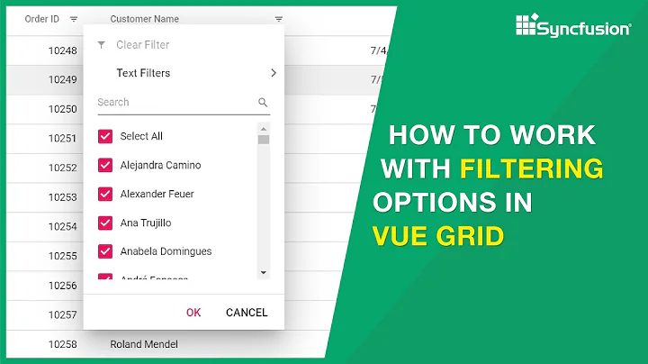 How to Work with Filtering Options in Vue Grid