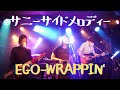 EGO-WRAPPIN' / サニーサイドメロディー  (エゴラッピンカバー) Sunny Side Melody cover