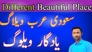 Different Palace Visit In Sodia Arabdaily Vlog Sodia Arabkoch Yad Gar Videodilshad Shad