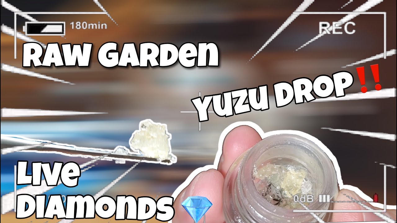 RAW GARDEN YUZU DROP REFINED LIVE DIAMONDS 💎| SUPER TASTY‼️😱|