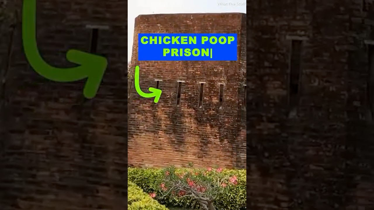 Thailand’s Most Disgusting Torture Method: The Chicken Poop Prison | History 101