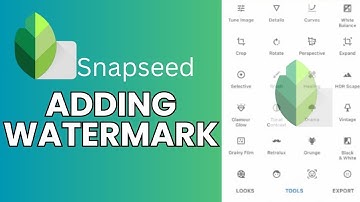 How to Add Watermark on Snapseed App 2024?