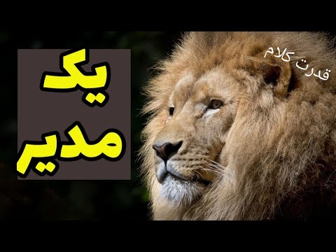 تصویری: آیا شارلمانی یک رهبر نظامی خوب بود؟