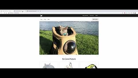 CS50 2020 - Final Project