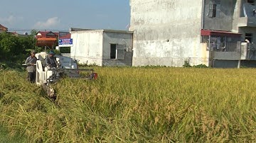 Chuyển đổi nông nghiệp bền vững thực hiện tái cơ cấu nông nghiệp