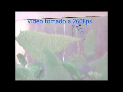 Prueba de cristal templado