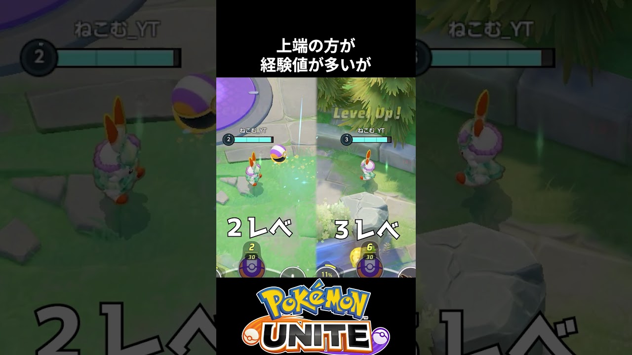 【必須知識】野生ポケモンの経験値の小ネタ【ポケモンユナイト 】