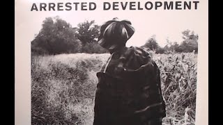 Arrested Development - Tennessee (The Mix) - 1992 Chrysalis - Speech | Dionne Farris - Vinyl Upload