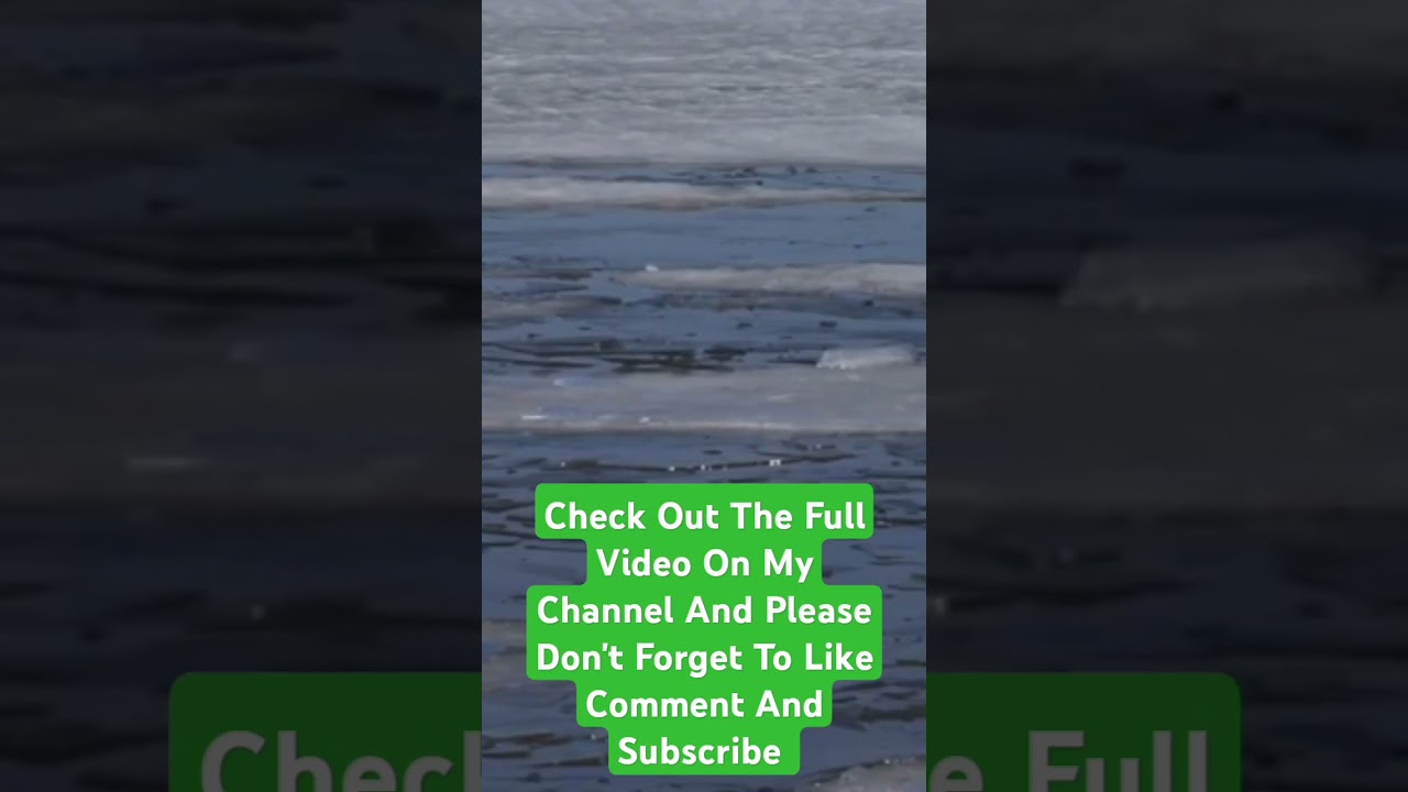 Legends Never Die|In Memory Of Conservation Officer Levi Frye