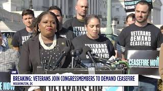 Veterans and Congressmembers Call for a Ceasefire on Capitol Hill