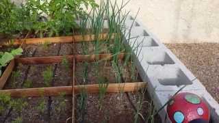 2014 Spring Garden