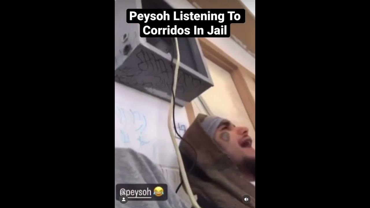 Peysoh Listening To Corridos In Jail peysoh swiftyblue 