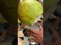 Watch This Perfect Coconut Cut!