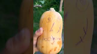 Pumpkin vs #airsoft #army #military #gaming #asmr #asmr