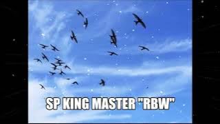 SP KING MASTER RBW, WALET PASTI DATANG MASUK