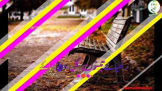 Saraiki song WhatsApp status 2020/Arman status write screenshot 5