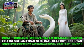 Download Lagu VIRAL !! DITINGGALKAN ISTRINYA DALAM KEADAAN LUMPUH, PRIA INI DISELAMATKAN SEEKOR ULAR PUTIH MP3