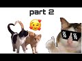 Funny cat video part 2 || Kura Kuwa Vlog.